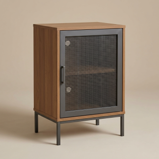 Quenzia 1-Door Accent Storage Cabinet with Adjustable Shelf