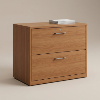 Quenzia 2-Drawer Lateral File Cabinet with Locking Storage for Home Office